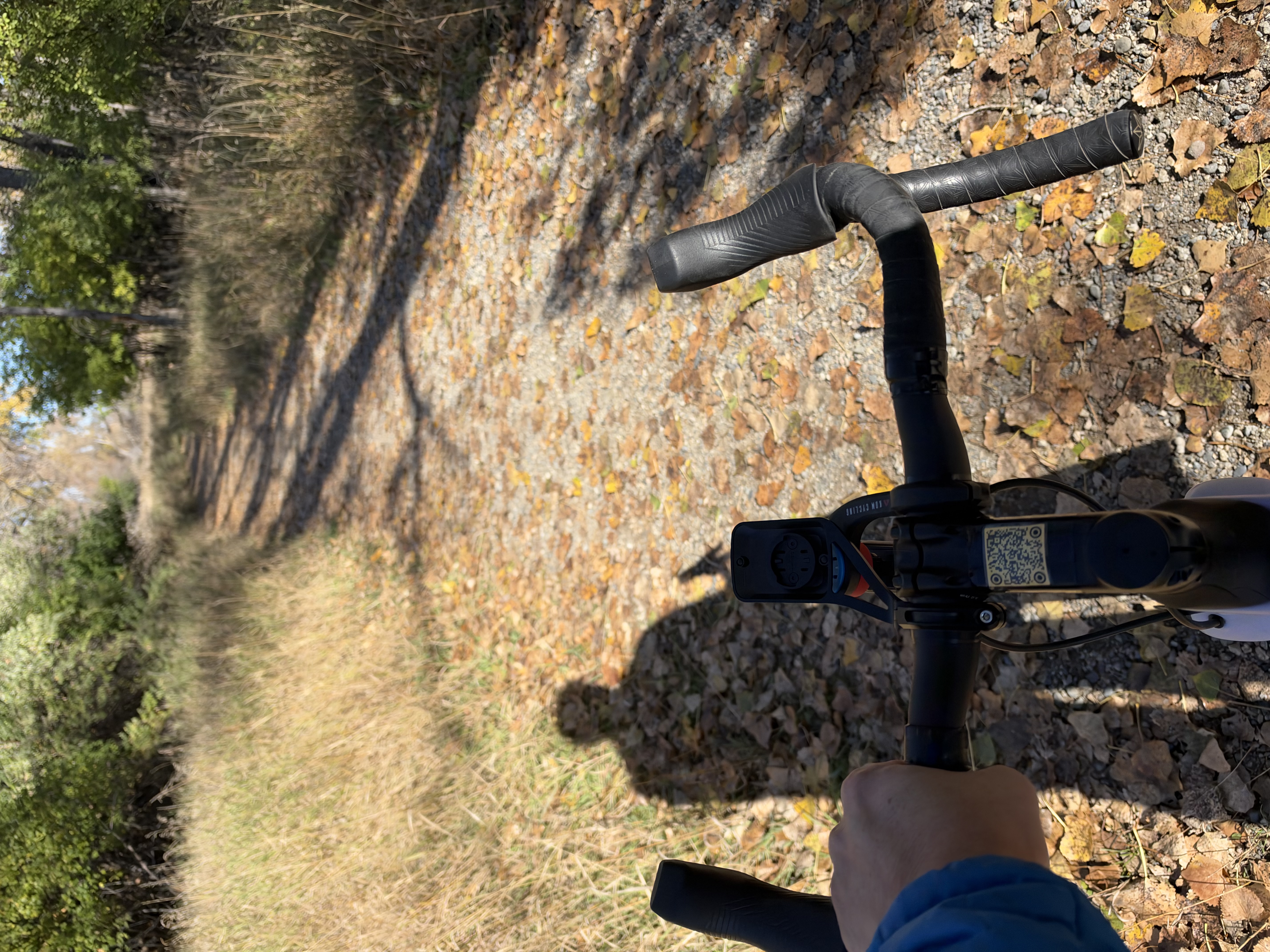 Handlebars over leafy gravel trail